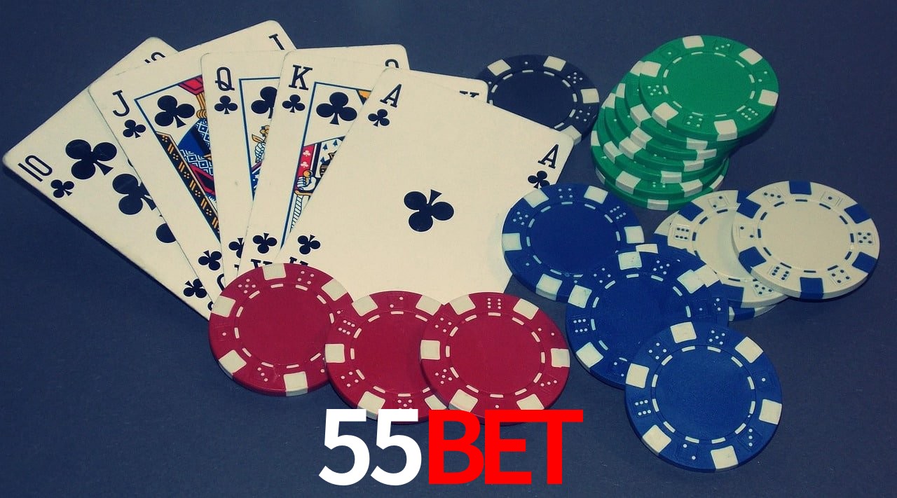 Experiência VIP 55Bet